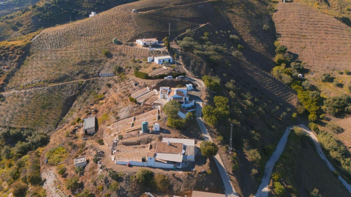 Sprzedaż działki rolnej w Finca rústica en El Borge , El Borge photo 2