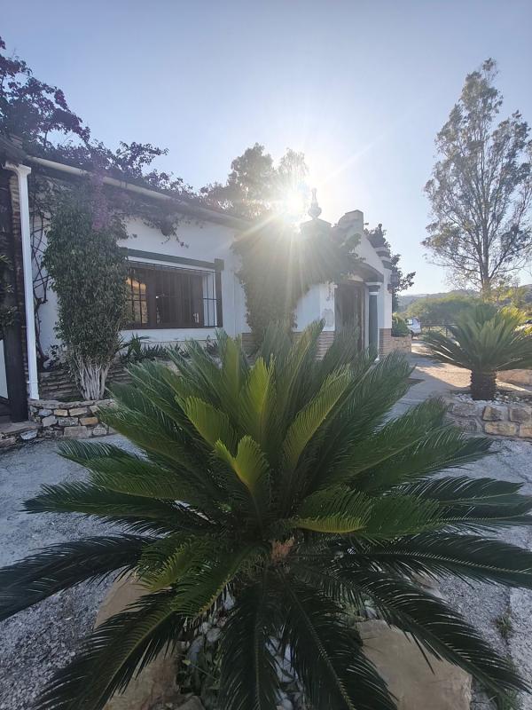 Properties for sale and rent in Spain photo 2