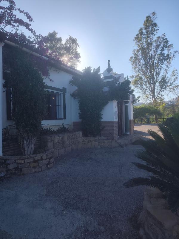 Properties for sale and rent in Spain photo 3