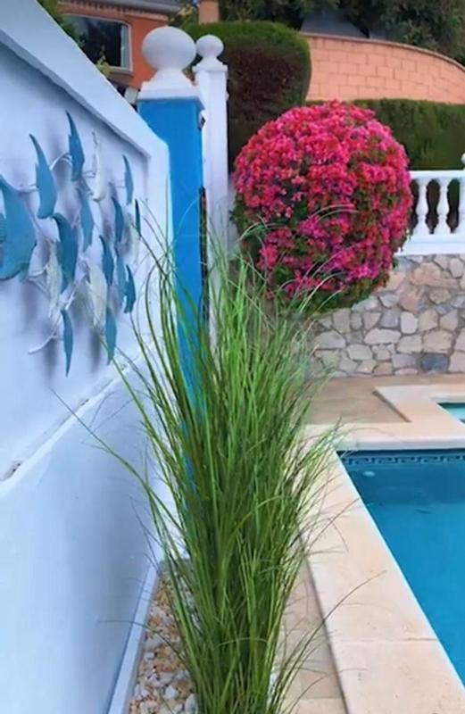 Properties for sale and rent in Spain photo 3