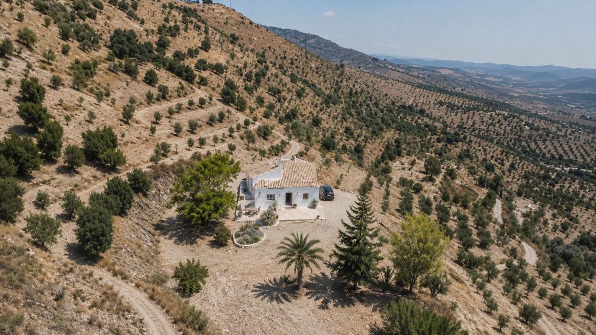 Продажа загородного участка в Finca rústica en Plaza Llanete de Arriba, 2, Casabermeja , Касабермеха photo 3