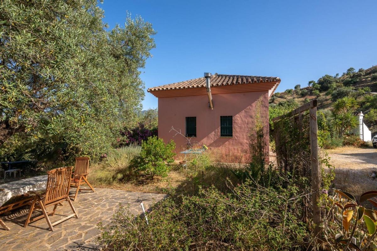 Продажа загородного участка в Finca rústica en Monda , Монда photo 3
