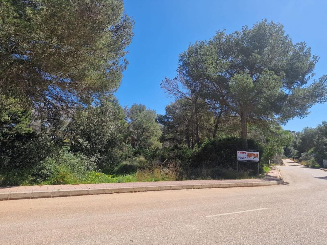 Terreno en venta en Jávea/Xàbia, Alicante photo 3