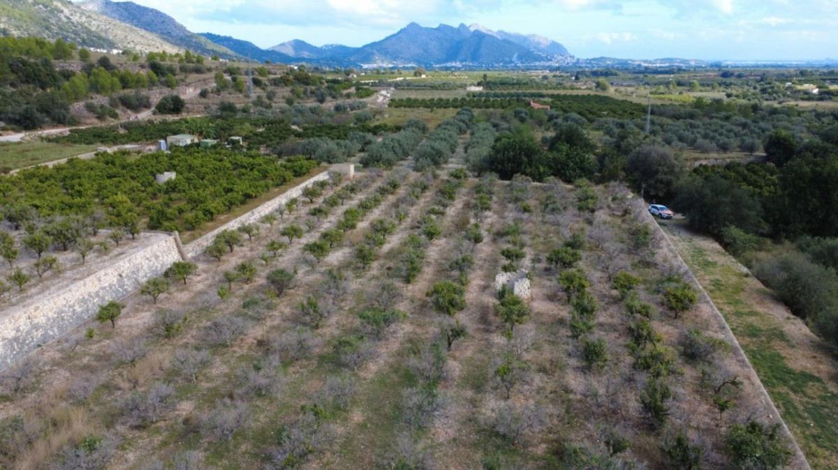 Terreno en venta en Orba, Alicante photo 1