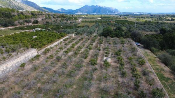 Terreno en Orba photo 1