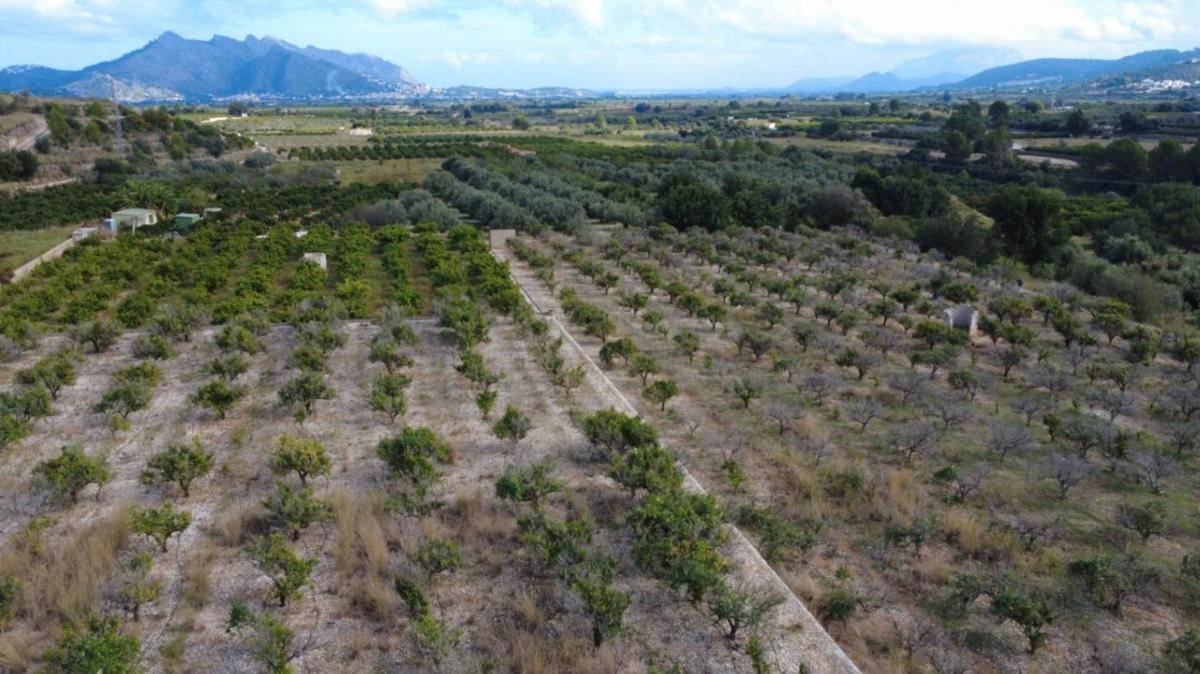 Terreno en venta en Orba, Alicante photo 2