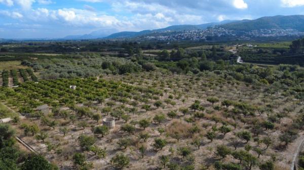 Terreno en Orba photo 4