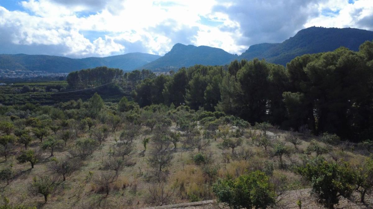 Terreno en venta en Orba, Alicante photo 5