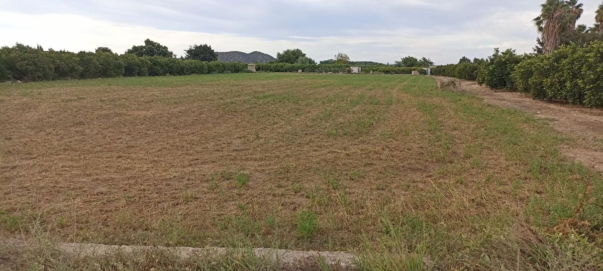Terreno en venta en Pego, Alicante photo 3