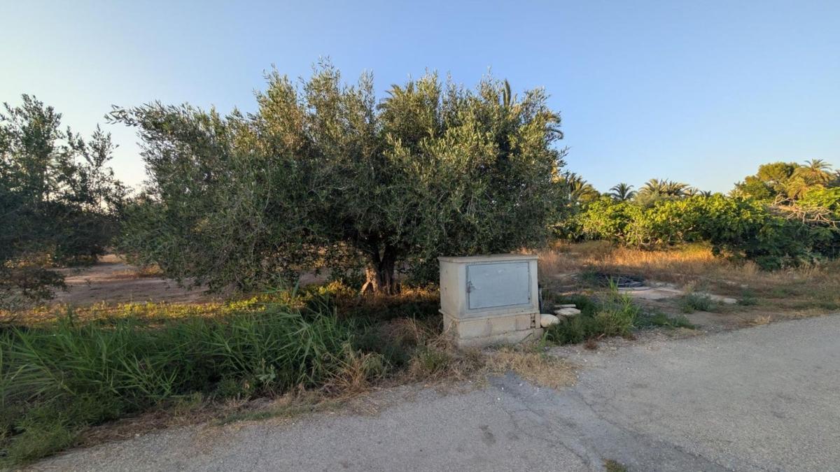 Terreno en venta en Elche / Elx, Alicante photo 2