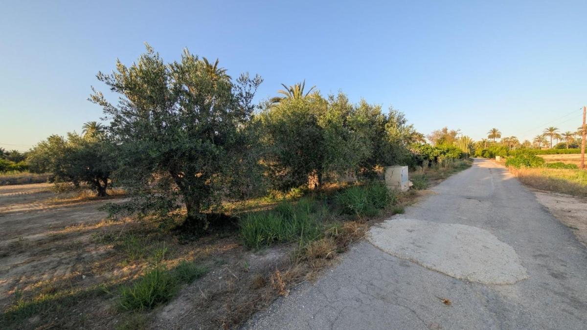 Terreno en venta en Elche / Elx, Alicante photo 4
