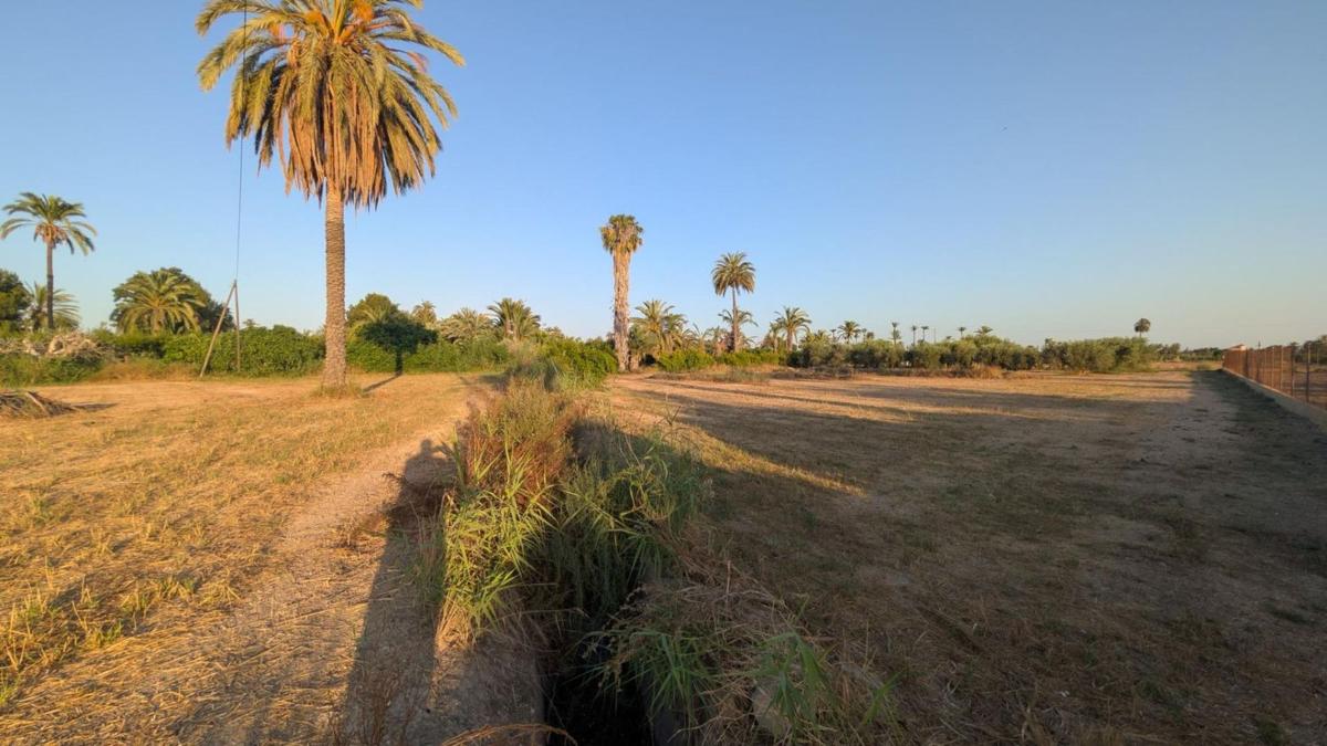 Terreno en venta en Elche / Elx, Alicante photo 5