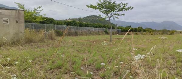 Terreno en Pego photo 1