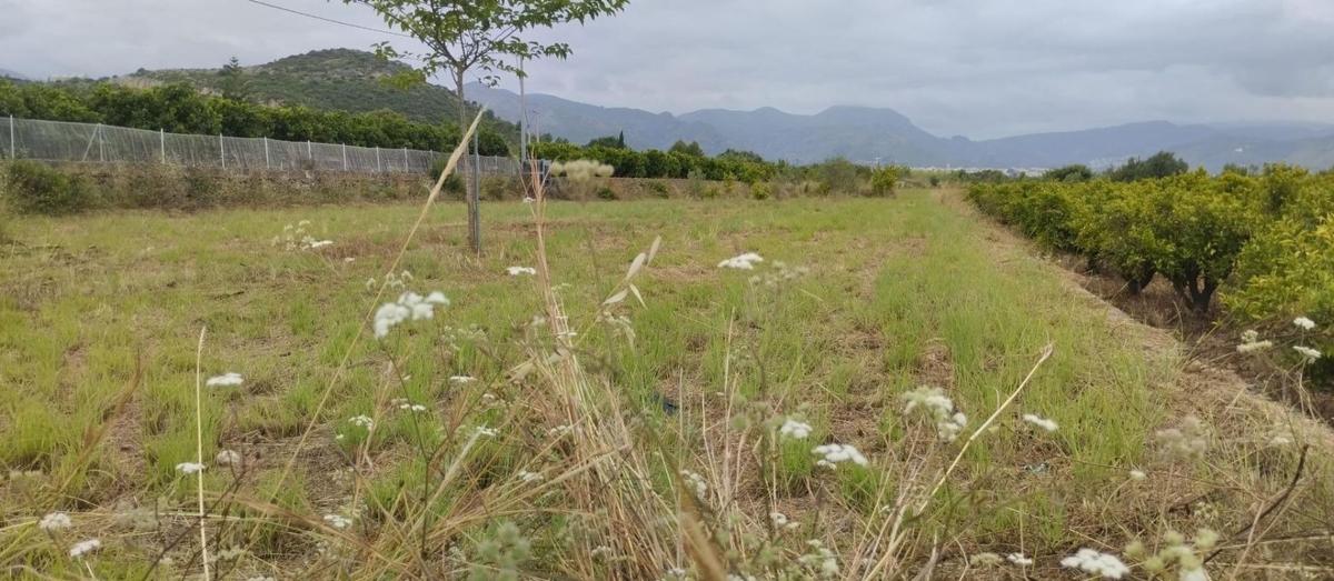 Terreno en venta en Pego, Alicante photo 2