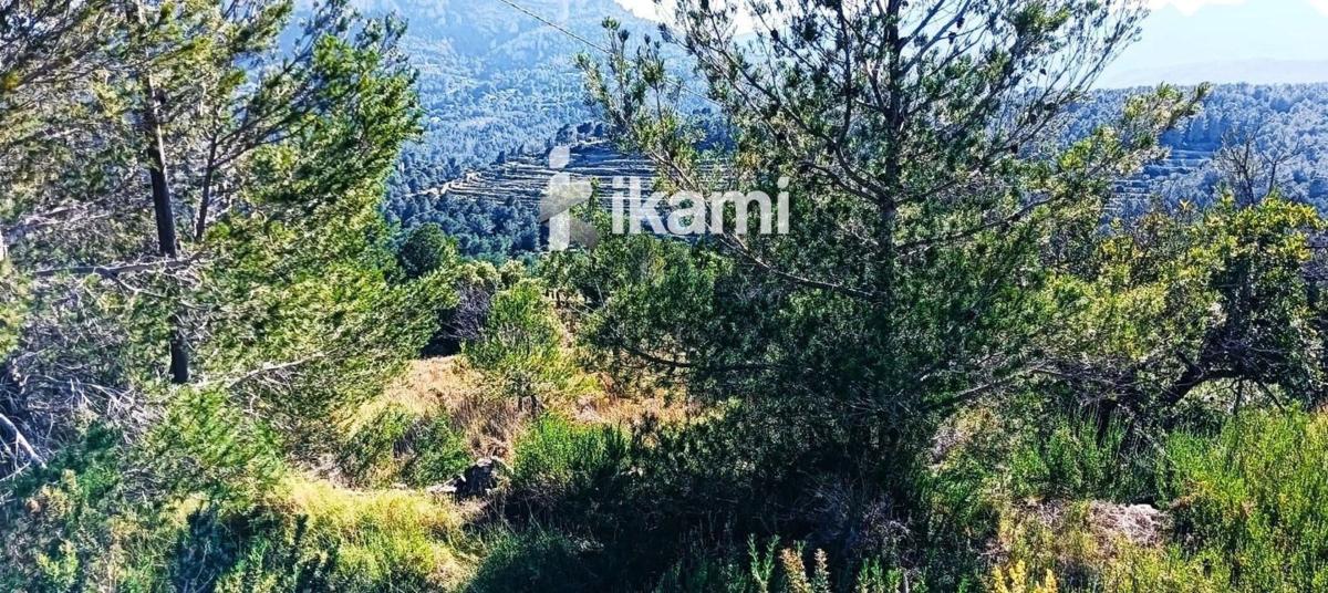 Terreno en venta en Moraira, Alicante photo 5