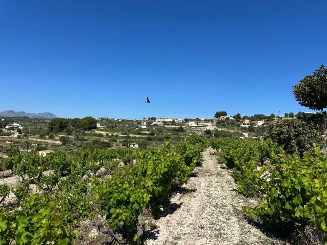 Terreno en venta en Teulada, Alicante photo 2