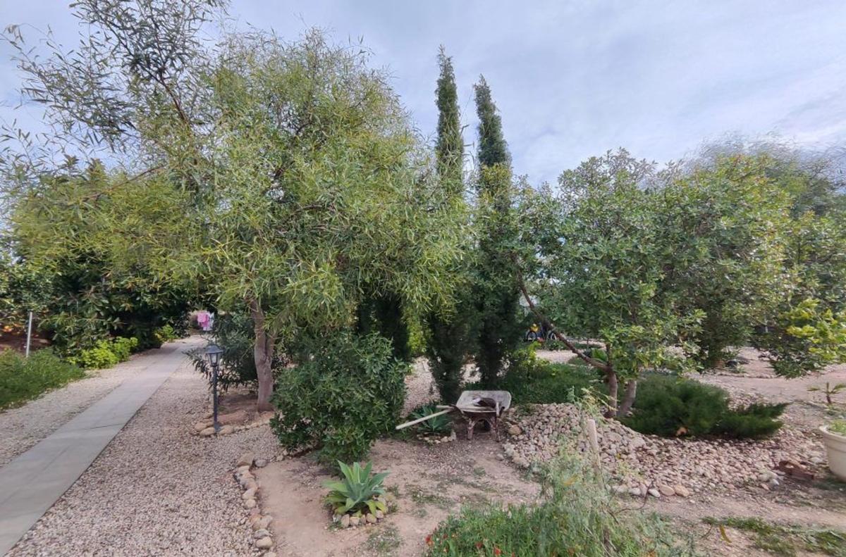 Terreno en venta en Orihuela, Alicante photo 4