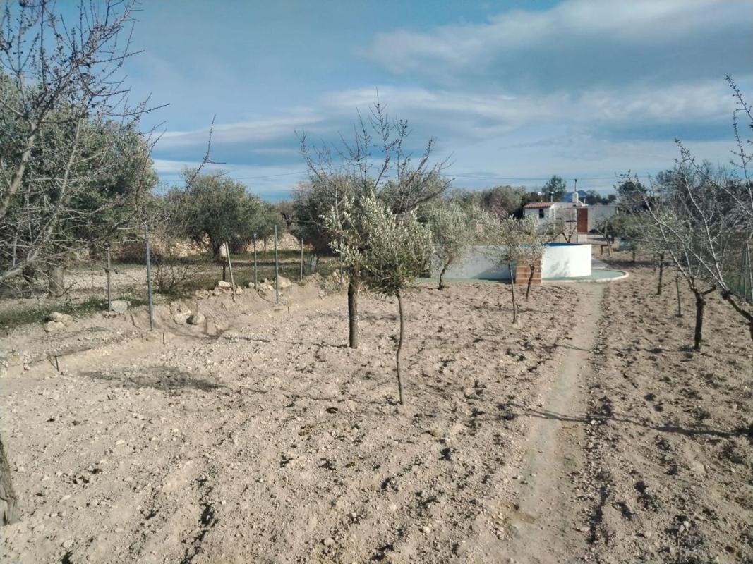 Terreno en venta en Castalla, Alicante photo 2
