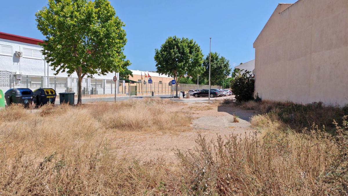 Terreno en venta en Pilar de la Horadada, Alicante photo 4