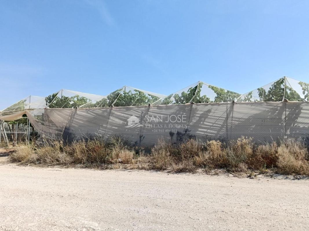 Terreno en venta en Aspe, Alicante photo 2
