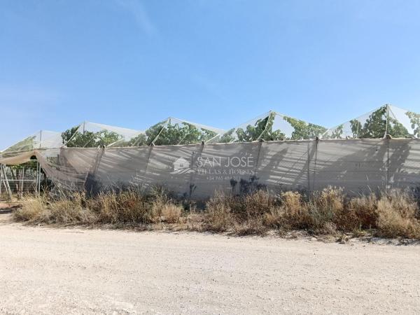Terreno en Pedanías Oeste, Aspe photo 2