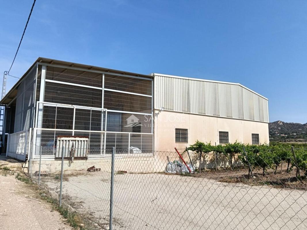 Terreno en venta en Aspe, Alicante photo 1