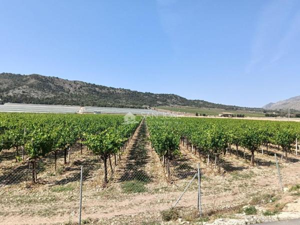Terreno en Pedanías Oeste, Aspe photo 2