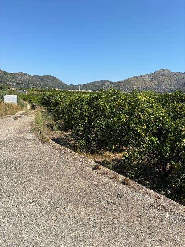 Terreno en venta en Tormos, Alicante photo 1