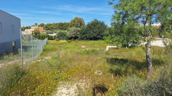 Terreno en Los Girasoles, San Vicente del Raspeig photo 4