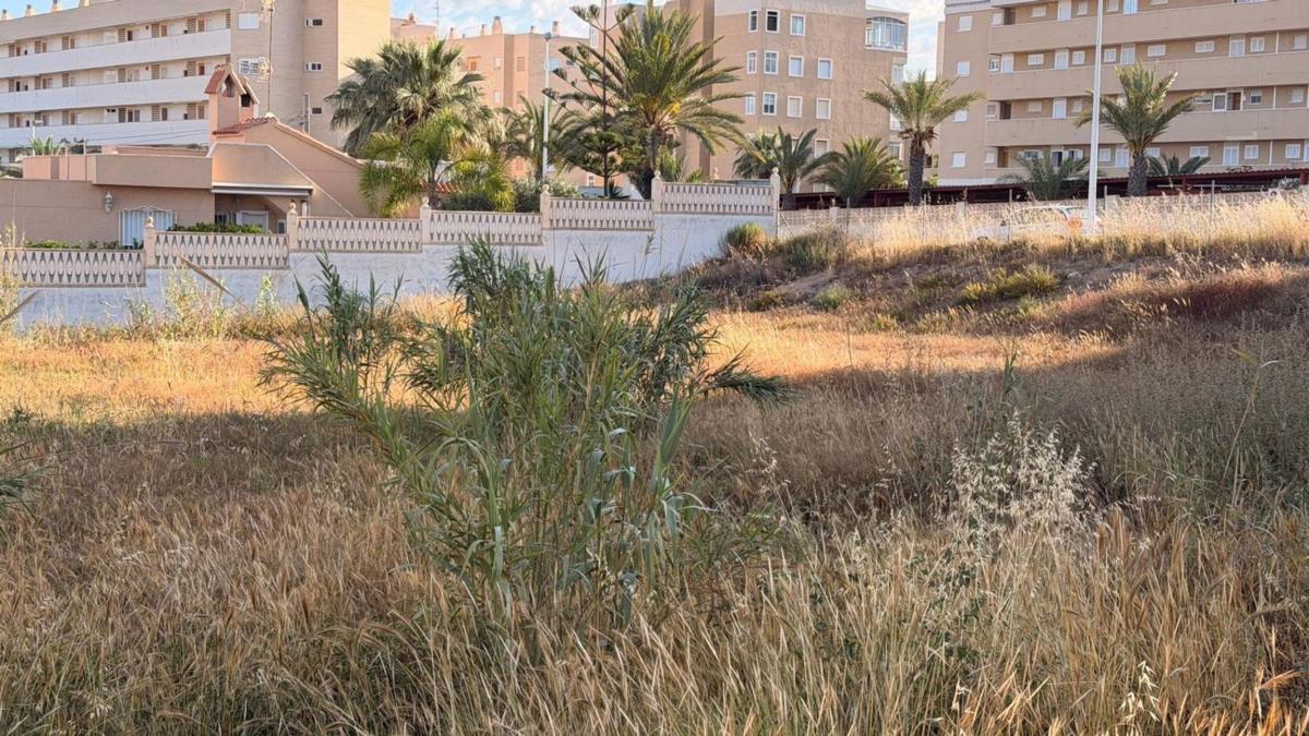 Land for sale in Elche / Elx, Alicante photo 2