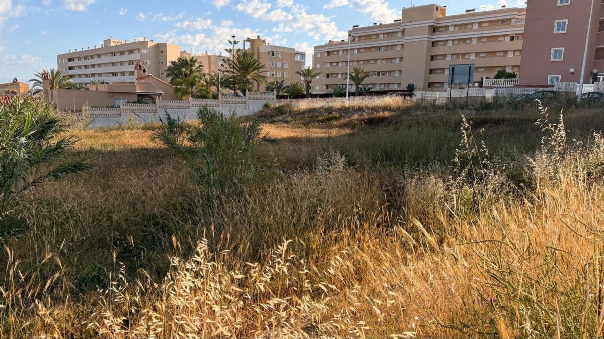 Land for sale in Elche / Elx, Alicante photo 3