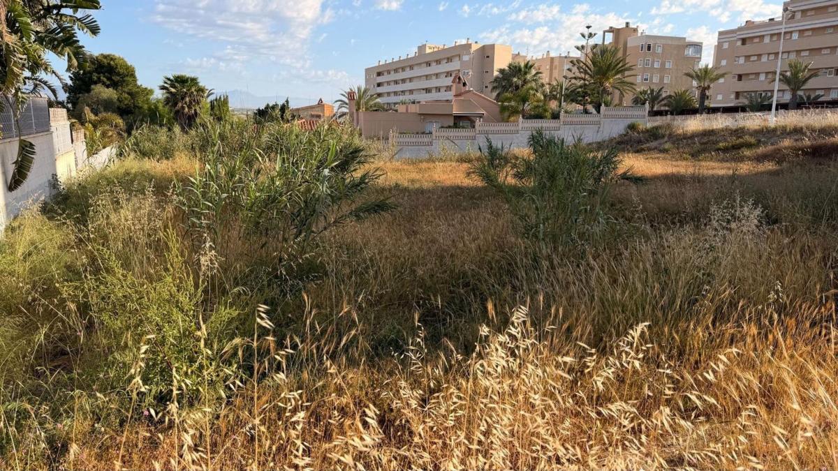 Land for sale in Elche / Elx, Alicante photo 4