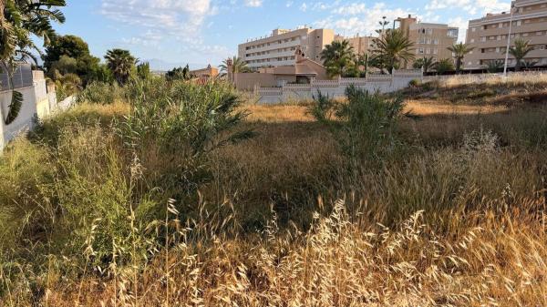 Terreno en Arenales del Sol, Elche / Elx photo 4