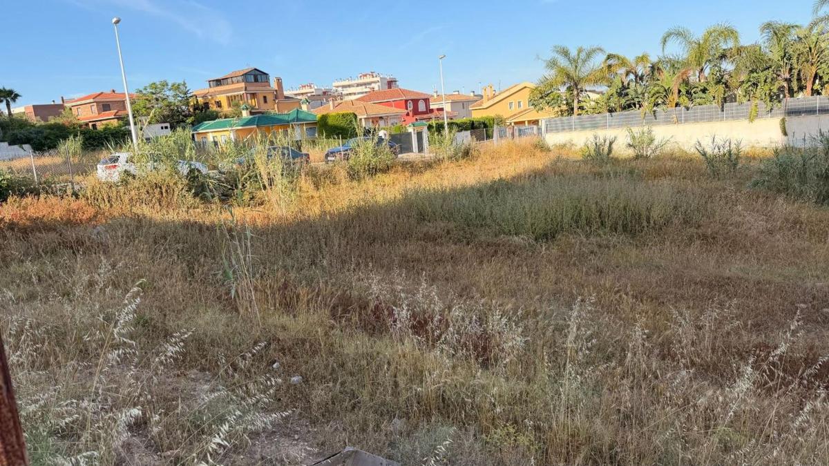 Land for sale in Elche / Elx, Alicante photo 5