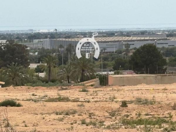 Terreno en La Galia-Bonavista, Elche / Elx photo 4