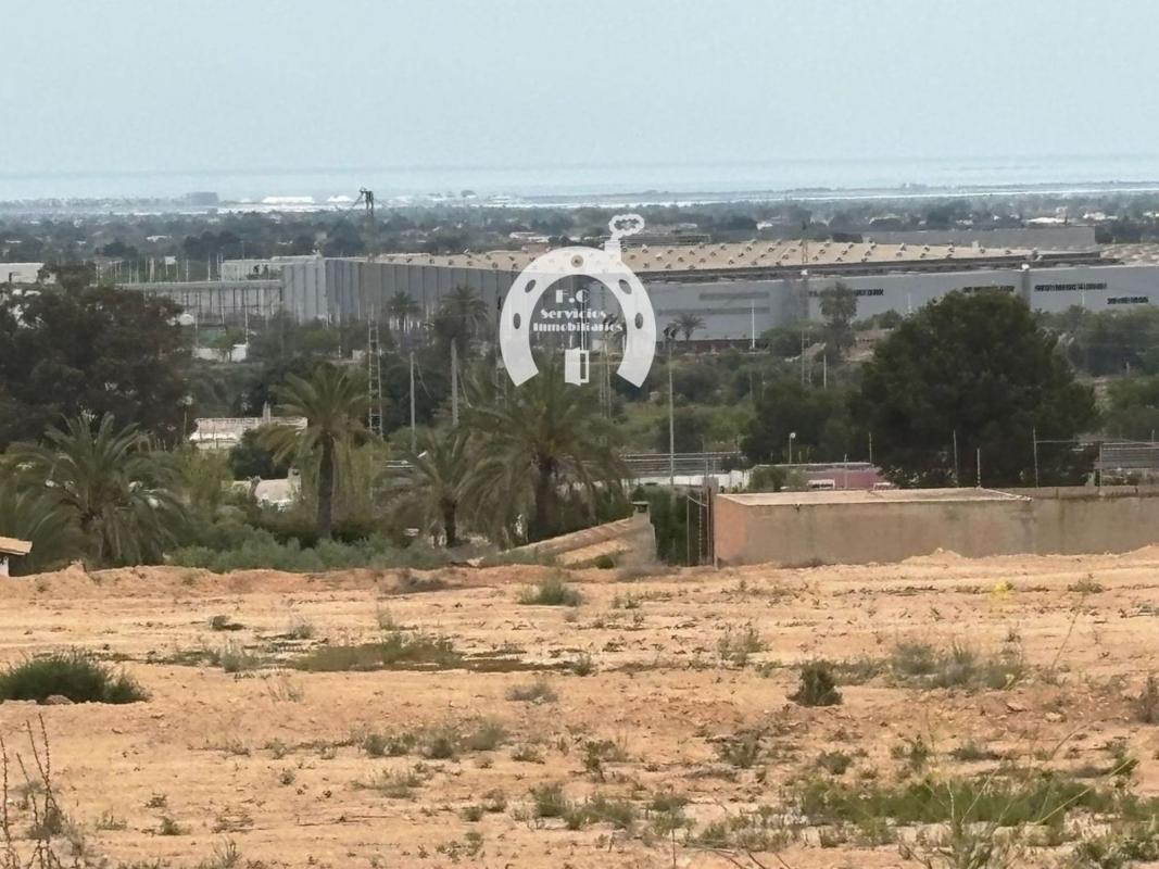 Land for sale in Elche / Elx, Alicante photo 5