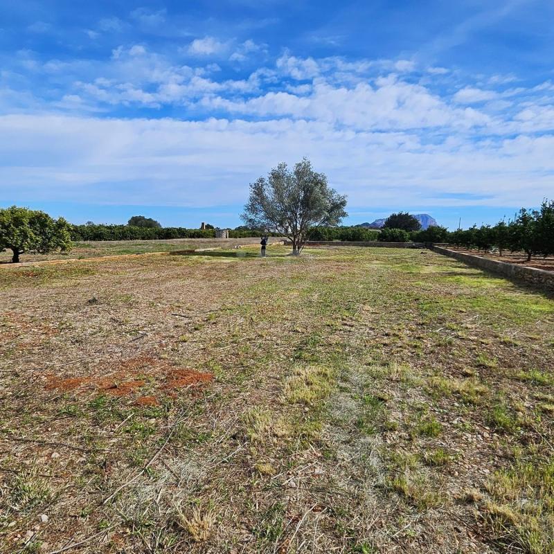 Land for sale in Benidoleig, Alicante photo 1