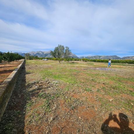 Terreno en Benidoleig photo 2