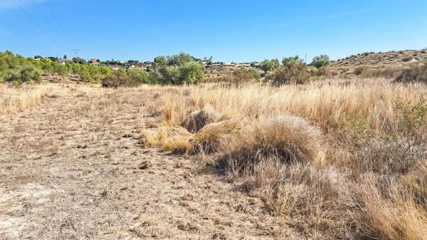 Terreno en La Galia-Bonavista, Elche / Elx photo 1
