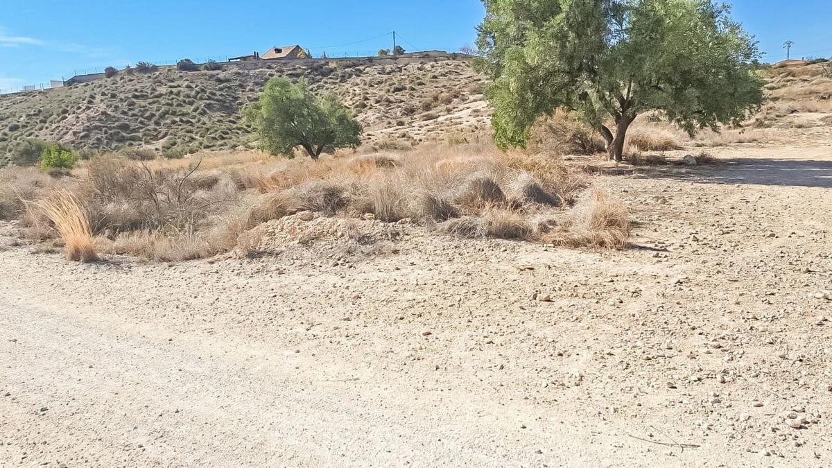 Terreno en venta en Elche / Elx, Alicante photo 2