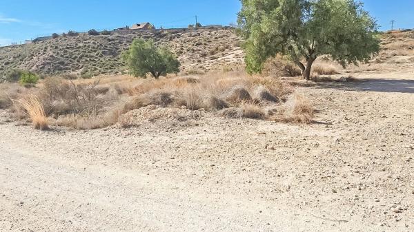 Terreno en La Galia-Bonavista, Elche / Elx photo 2