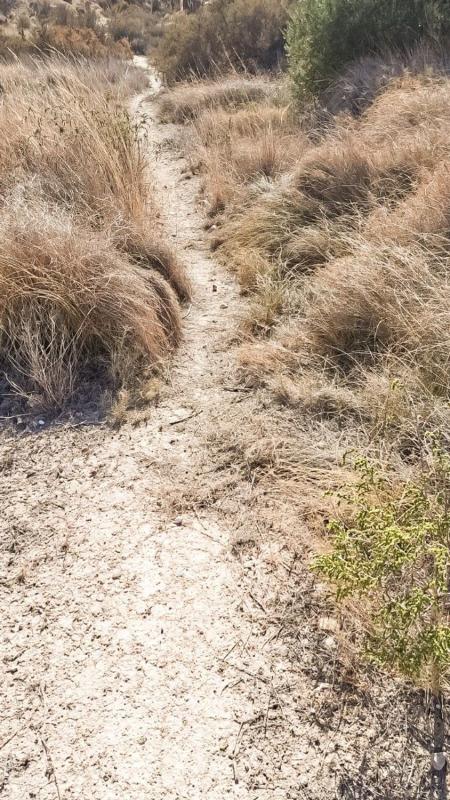 Terreno en venta en Elche / Elx, Alicante photo 4