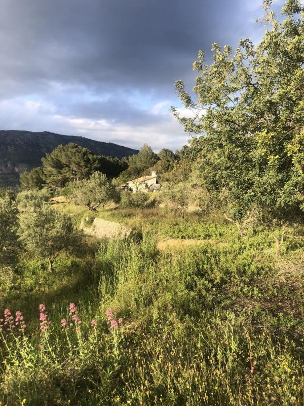 Terreno en venta en Guadalest, Alicante photo 2