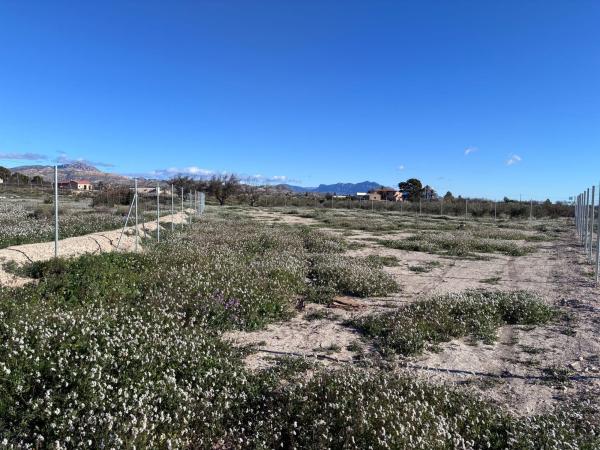 Terreno en Camino Rio Ebro s/n, Cañada del Fenollar thumbnail 2