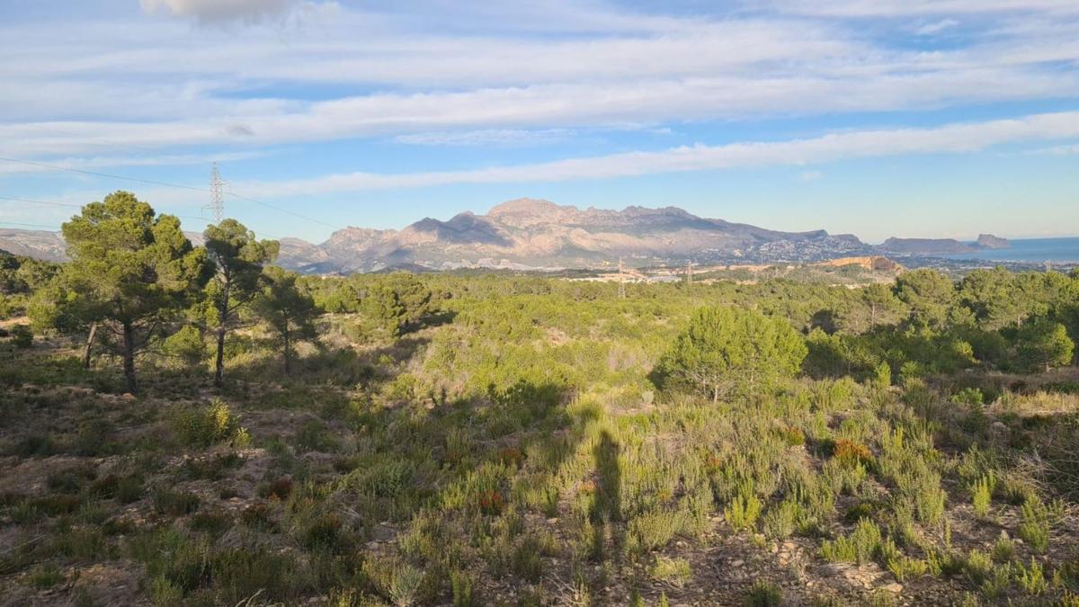 Terreno en venta en La Nucia, Alicante photo 2