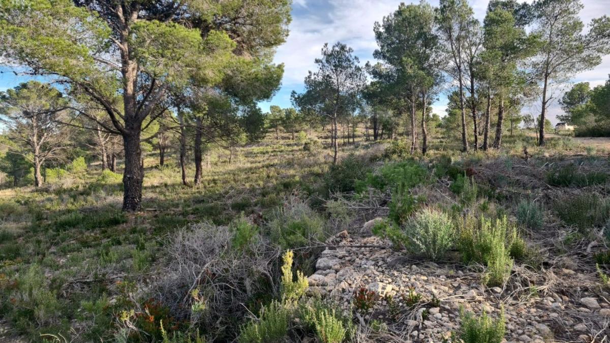 Terreno en venta en La Nucia, Alicante photo 4