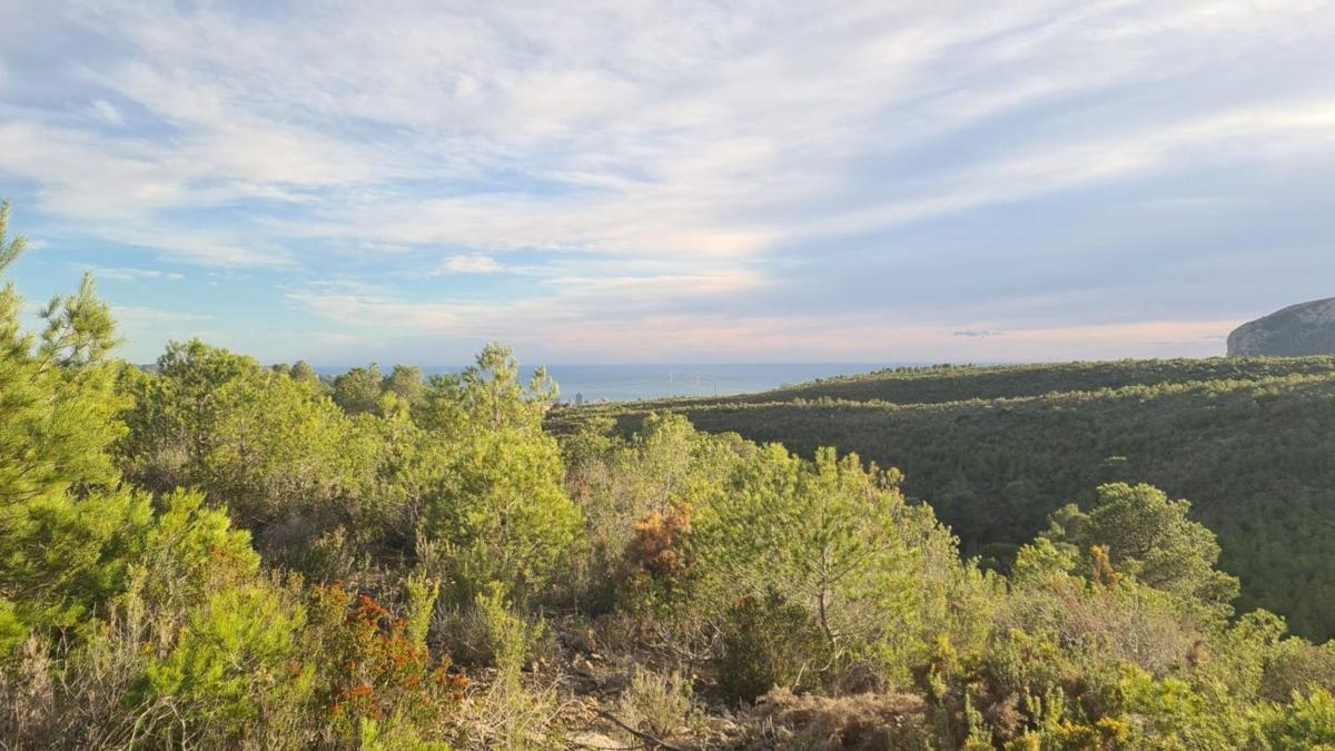 Terreno en venta en La Nucia, Alicante photo 5