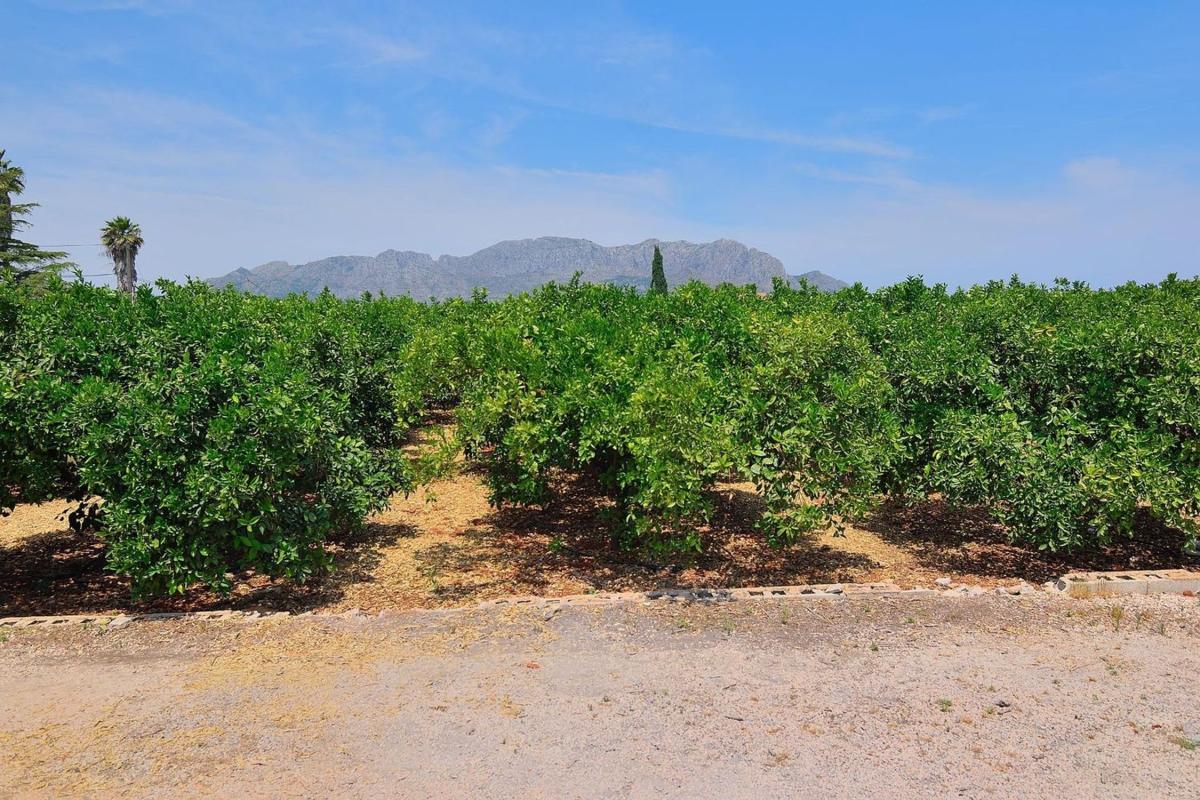 Terreno en venta en Pedreguer, Alicante photo 1