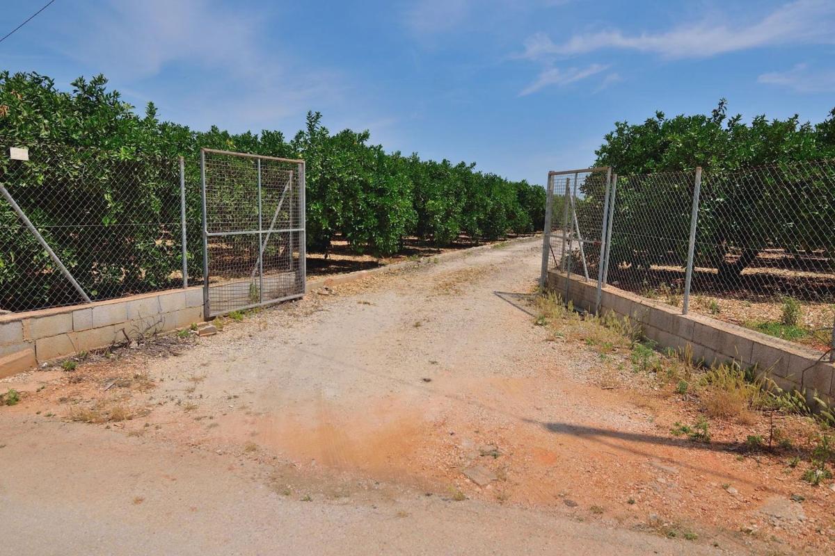 Terreno en venta en Pedreguer, Alicante photo 5