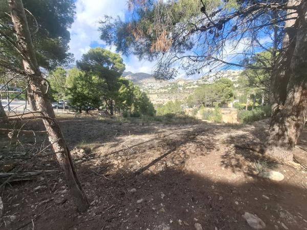 Terreno en Zona de Mascarat, Altea photo 2